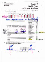 Student exploration rna and protein synthesis answer key activity b. 30 Nucleic Acid And Protein Synthesis Worksheet Cute766