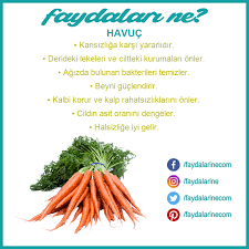 Dogal Tarif 2020 Saglikli Diyet Tarifler Saglikli Olmak Saglikli Ogunler