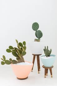 The white blooms appear in the spring and if very well cared for, they bloom again in the. Diy Mid Century Stand Planters Sugar Cloth Decor