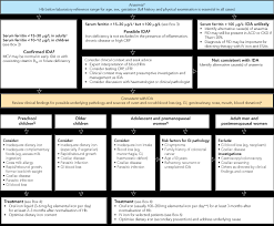 diagnosis and management of iron deficiency anaemia a