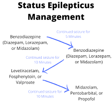 Image result for Status Epilepticus