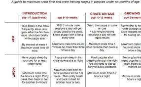 These meals are considered nutritionally. Answer Crate Training 8 Week Old Puppy Night Sweetpuppies Answer Crate Night Crate Training Puppy Puppy Training Schedule Crate Training Puppy Schedule