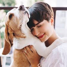 Centro Veterinario V Centenario