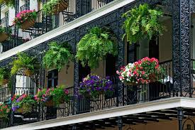 Las plantas colgantes para balcones, terrazas o jardines, son cada vez más populares, especialmente para aquellas personas que no cuentan con un gran espacio para tener un jardín típico. Saliente Corona Multa Balcones Con Plantas Colgantes Interpretativo Novato Lado