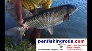 Check spelling or type a new query. Pen Rod Extreme