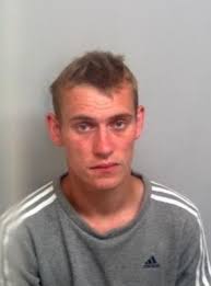 Benjamin Doherty jailed after punching and biting his ex