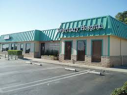 We are a small clinic that specializes primarily on dogs and cats. Veterinary Hospital Antioch Ca Pet Clinic Animal Hospital Antioch