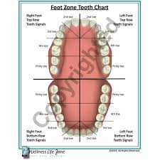 Tooth Reference Chart