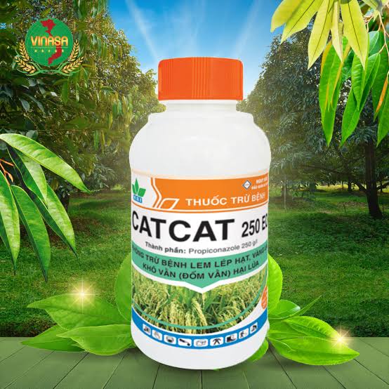 Catcat 250EC