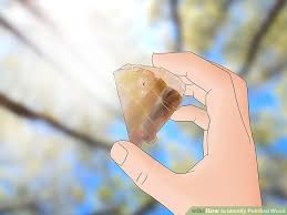 Simple Ways To Identify Petrified Wood 8 Steps With Pictures