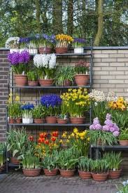 Potted Spring Flowers Photographic Print Anna Miller Art Com In 2020 Garden Containers Spring Garden Flowers Cottage Garden Design