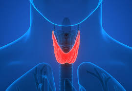 Its diverse clinical outcomes highlight the need for identifying robust biomarkers of practical relevance. Underactive Thyroid Is Yours Being Overtreated Health Essentials From Cleveland Clinic