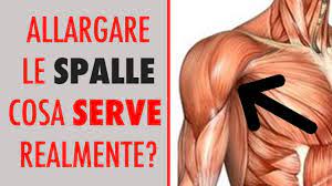 La parte anteriore (testa anteriore), la parte (testa laterale) e la. Come Allargare Le Spalle La Verita Di Esercizi E Anatomia Youtube