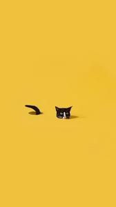 Aesthetic Black And Yellow Desktop Wallpaper Bella Montreal Insta Bella Montreal Pinterest Weheartit Bella4549 Black Cat Wa Aesthetic Iphone Wallpaper Black Cat Aesthetic Yellow Wallpaper