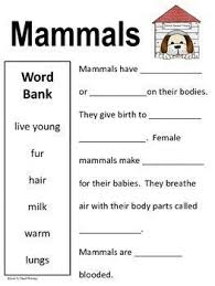 Animal Characteristic Worksheets Yahoo Search Results Kindergarten Science Animal Classification First Grade Science