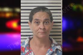 Erica McLeod — Toombs County Jail Bookings