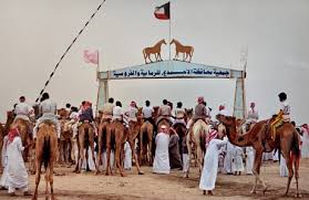 Camel racing federation at al wathba. The Camel Races Of Kuwait A Photo Essay