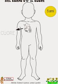 Attività didattiche e schede per capire e scoprire com'è fatto il nostro corpo, per imparare ed osservare, divertendosi. Risorse Di Apprendimento Corpo Umano Anatomia Modello Giocattoli E Modellismo Giocattoli Educativi