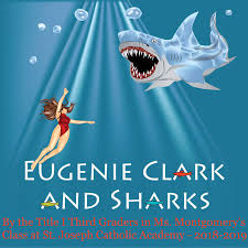 St joseph's shark (watch out for the spike on the dorsal!) kernow catcher; Eugenie Clark And Sharks 2018 2019 Missouri Title I Bypass