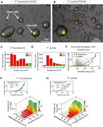 An animal cell encounters a new type of bacterium. Bacterial Survival In Microscopic Surface Wetness Elife