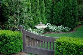 Privacy solutions come in many forms to suit your needs. Grow Your Own Privacy How To Screen With Plants And Trees