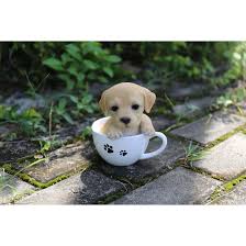 Contact colorado springs labrador retriever breeders near you using our free labrador retriever breeder the search tool above returns a list of breeders located nearest to the zip or postal code you enter. Hi Line Gift Ltd Teacup Labrador Puppy Statue Reviews Wayfair
