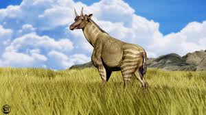 Image result for Sinopteridaceae