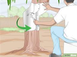 This will help keep them away and act as an iguana deterrent. How To Keep Iguanas Out Of Your Yard Or Garden 10 Steps
