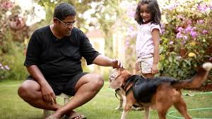 The information in this post might be outdated. Beagles Rescued In Bangalore Are Now Up For Adoption Dogexpress