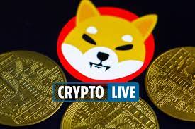 Cryptocurrency Price Live Shiba Inu Coin Bitcoin Up As Crypto Investor Michael Saylor Says Token Will Hit 6million