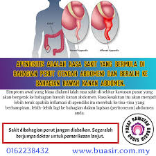 11 kain panjang kain batik, lama terpakai jadi lusuh. Apendiks Merupakan Satu Organ Pusat Rawatan Buasir Sidaq Facebook