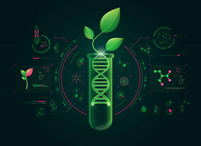 The Role of Biotechnology in Agriculture - Agritech Digest