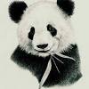 Feel free to explore, study and enjoy paintings with paintingvalley.com 1
