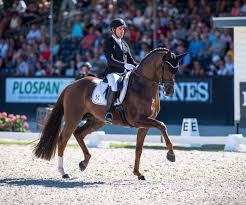 D'avie, a hanoverian licensed stallion and double young horse world champion, has been sold to lisa müller in germany. Lisa Muller En D Avie Winnen Wedstrijddebuut Horses Nl