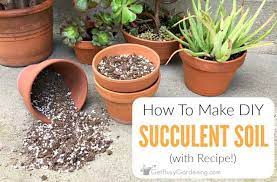 Maybe you would like to learn more about one of these? How To Make Your Own Succulent Soil With Recipe Get Busy Gardening