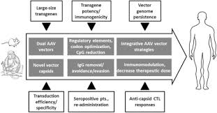 Image result for White 1999 AAV