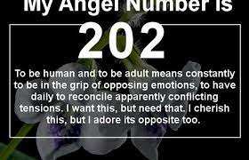 Angel Number 202 Means That Love Is In The Air Discover Why Angel Number Meanings Number Meanings Angel Numbers
