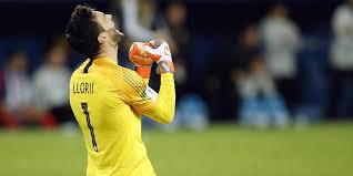 Equipe d'angleterre pour la coupe du monde de football fifa en russie. Coupe Du Monde 2018 Lloris Le Chat A Dd Le Point
