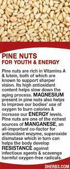 Pine Nuts Natural Health Health Remedies Natural Medicine