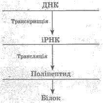 Результат пошуку зображень