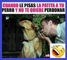 Hacer Un Meme Divertido Lol Lmao Hilarious Laugh Photooftheday Friend Crazy Witty Instahappy Joking Epic Pinterest Memes Funny Spanish Memes Memes