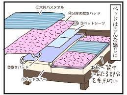 トイレトレーニング中 ソファとベッドのお漏らし対策 娘のトイトレ記録 by ぴなぱ すくパラ倶楽部news トイレトレーニング トレーニング 育児