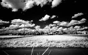 5 Frames With Rollei Infrared 400 A Leica M7 And Voigtlander Color Skopar 21mm F 4 Steven Bleistein 35mmc Infrared Photography Infrared Rollei 35
