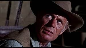 Death of a Gunfighter (1969)