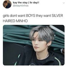 Im Going To Die Alone Bc My Expectations Are Way To High But Im Bi So Maybe Not Kid Memes Kpop Memes Stray Kids Minho