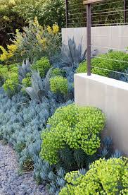 Pin By Ruth Bancroft Garden And Nurse On Small Space Gardens In 2020 Dry Garden Coastal Landscaping Native Garden