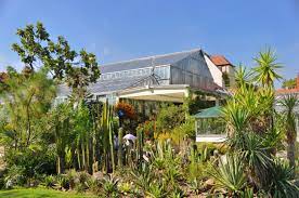 Gefällt 544 mal · 157 waren hier. Botanischer Garten Erlangen Wikipedia