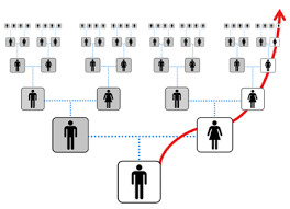 Mitochondrial Dna Is A Circular Dna Molecule That S Found In The Mitochondria This Dna Molecule Codes For A Pa Mitochondrial Dna Dna Genealogy Family Tree Dna