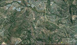 Image result for Dichilus reflexus