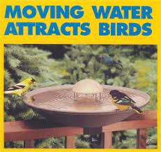 How to make a water dripper for birds. Drippers Misters And Moving Water The Wood Thrush Shop